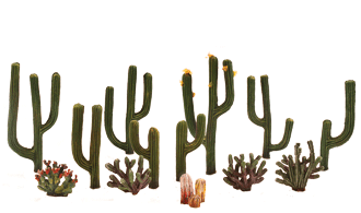 JWTR3600 Cactus Plants - 1/2&quot; - 2 1/2&quot;(선인장 1.2cm~8.5cm)