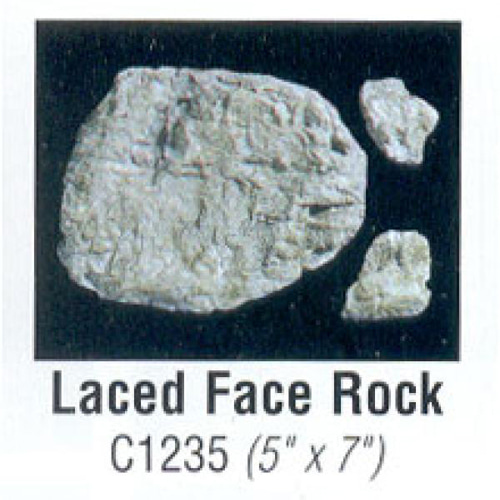 JWC1235 돌모양 몰드 Laced Face Rock