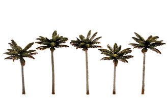 JWTR3597 Palm Trees - 3&quot; - 3 3/4&quot; (야자나무 7.5cm~9cm) - 5개